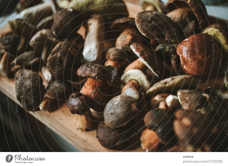 Freshly picked wild mushrooms Food Mushroom porcini Ingredients Macro (Extreme close-up) Close-up Cooking isolated Aromatic Organic Healthy Autumn