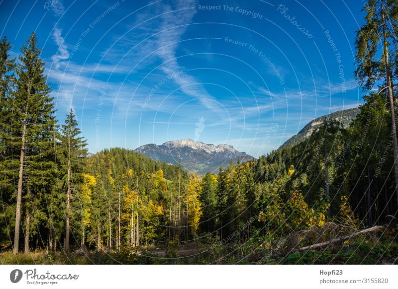 Alps in the Berchtesgaden region Environment Nature Landscape Plant Sky Clouds Sun Autumn Beautiful weather Tree Forest Rock Mountain Peak Diet Fitness Going