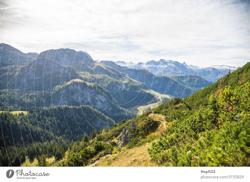 Alps in the Berchtesgaden region Environment Nature Landscape Plant Sky Clouds Sun Autumn Beautiful weather Tree Grass Forest Rock Mountain Peak Snowcapped peak