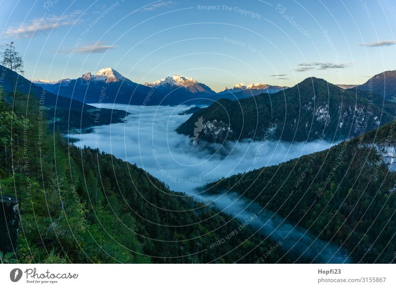 Alps in the Berchtesgaden region Environment Nature Landscape Plant Sky Clouds Sun Autumn Beautiful weather Fog Tree Grass Forest Rock Mountain Peak Diet