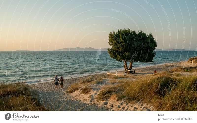 Sunset on Kos Island 2 Harmonious Senses Calm Meditation Cure Spa Freedom Summer Summer vacation Beach Ocean Sports Jogging Environment Nature Landscape Tree