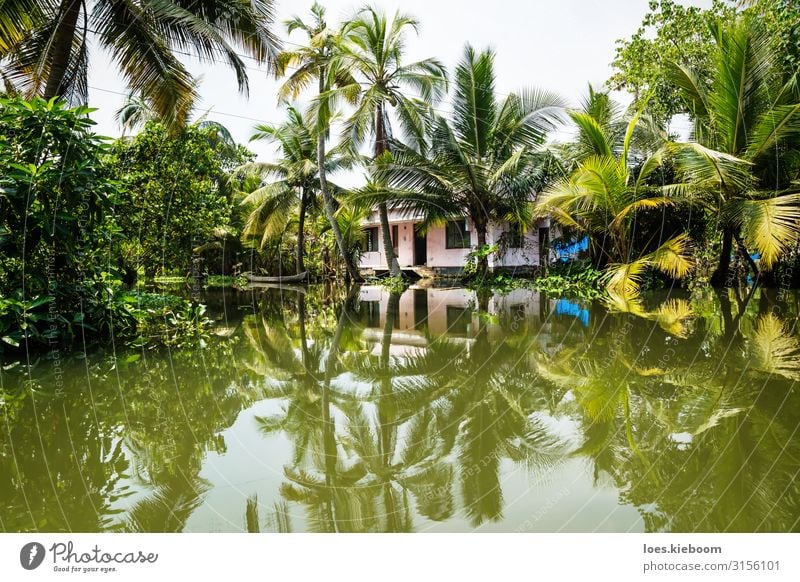 House in the Kerala backwaters Vacation & Travel Tourism Adventure Far-off places Sightseeing Summer Nature Exotic Coast River bank