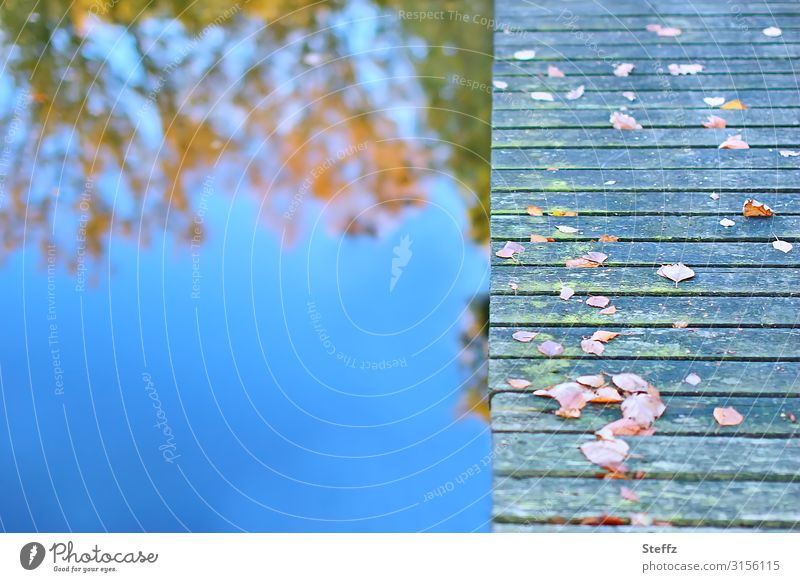 Autumn at the blue lake Footbridge autumn lake Bridge Lake blue water Lakeside Wooden bridge wooden walkway Autumn leaves autumn leaves Romance Longing