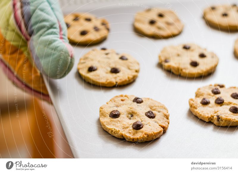 Woman holding a tray with baked cookies with kitchen gloves Breakfast Kitchen Adults Gloves Stove & Oven Hot Delicious Brown Baking biscuits Token chocolate