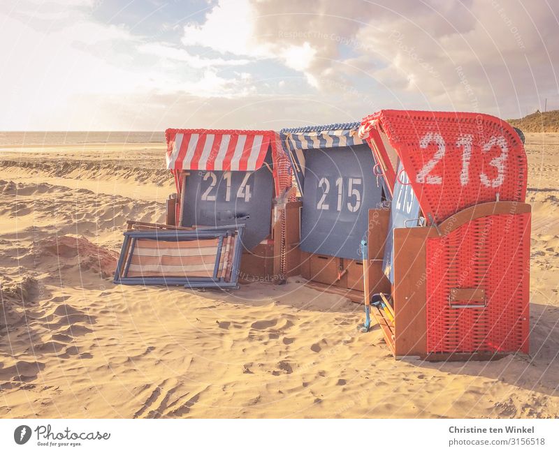 beach chairs Vacation & Travel Tourism Beach Island Environment Nature Landscape Sand Sky Clouds Horizon Sunlight Autumn North Sea Borkum Beach chair Deckchair