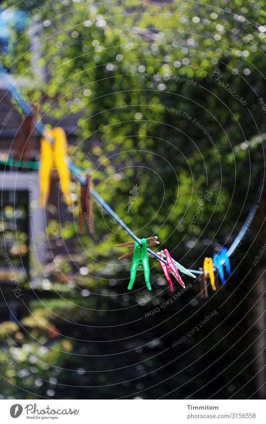 English clothespins Vacation & Travel Living or residing Environment Nature Garden Great Britain Yorkshire Village House (Residential Structure) Clothesline