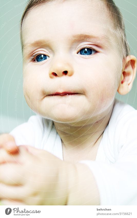 a thinker Baby Infancy Son Child blue eyes Boy (child) Face Love 0 - 12 months Interior shot Colour photo portrait observantly Cute already Meditative Dream