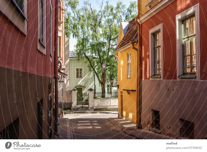 Tallinn in May Trip City trip Estonia Capital city Port City Downtown House (Residential Structure) Wall (barrier) Wall (building) Facade Window Discover