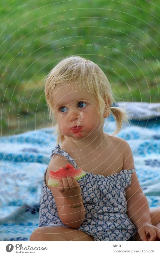 Toddler eats melon, on a picnic blanket, in the garden Healthy Eating Calm Vacation & Travel Tourism Trip Garden Feasts & Celebrations Birthday Human being