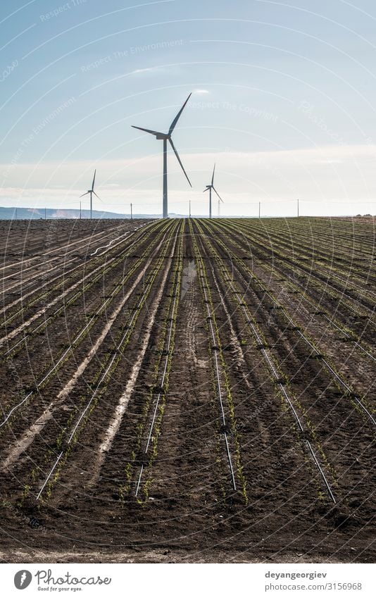 Wind generator in agriculture land. Summer Industry Technology Environment Nature Landscape Earth Sky Clouds Sustainability Blue Energy turbine electricity