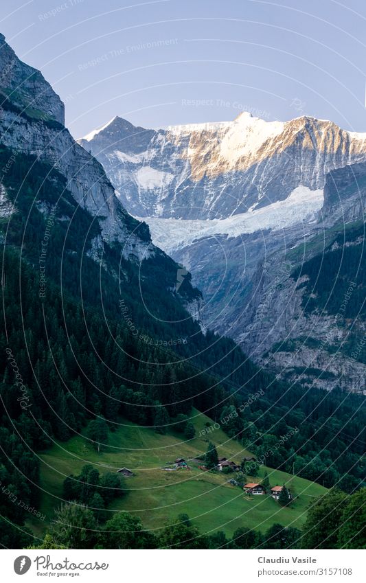 Swiss alpine valley catching the morning light Vacation & Travel Tourism Hiking Nature Landscape Sky Sun Summer Climate change Snow Tree Forest Alps Mountain