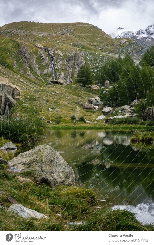 Green lake at the tree limit high in the Swiss Alps Vacation & Travel Tourism Adventure Sightseeing Hiking Nature Landscape Plant Water Clouds Summer Tree Grass