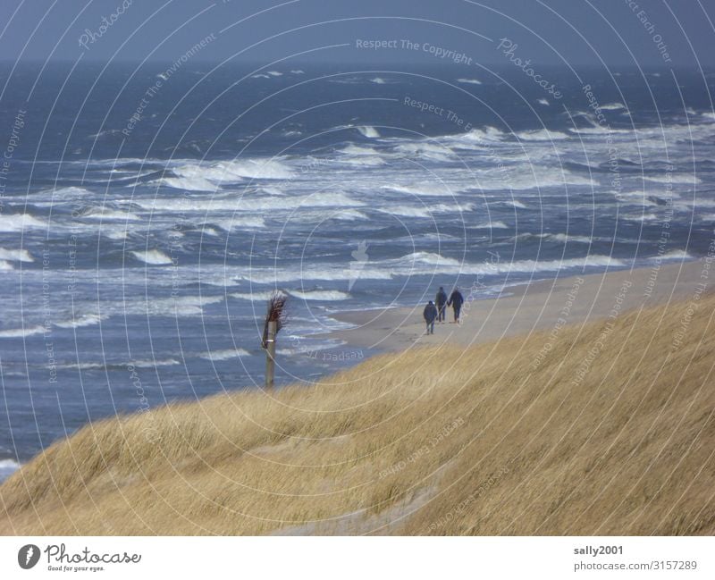 Sunday stroll... Human being 3 Landscape Marram grass Waves Coast Beach North Sea Ocean Island Relaxation Going Hiking Free Healthy Together Maritime Serene