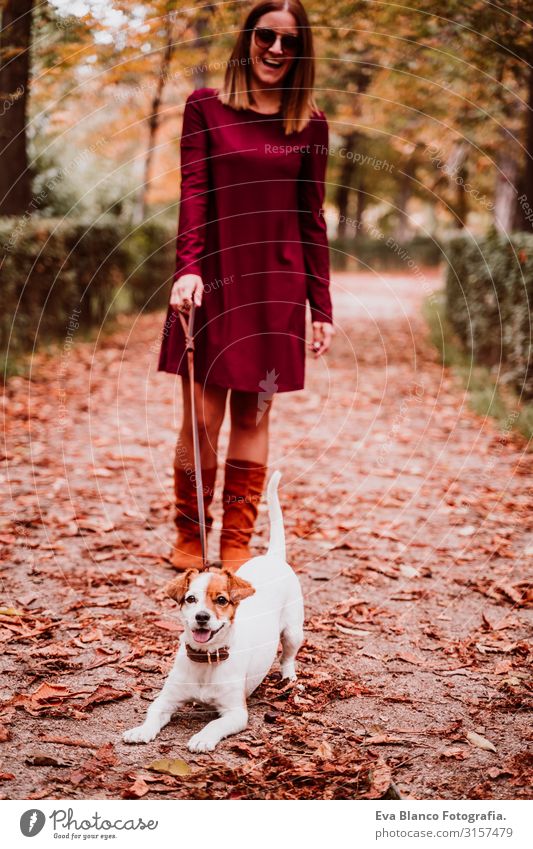 young woman and her cute jack russell dog walking in a park. Love for animals concept Woman Dog Walking Park Autumn Forest Tree Jack Russell terrier Cute Small