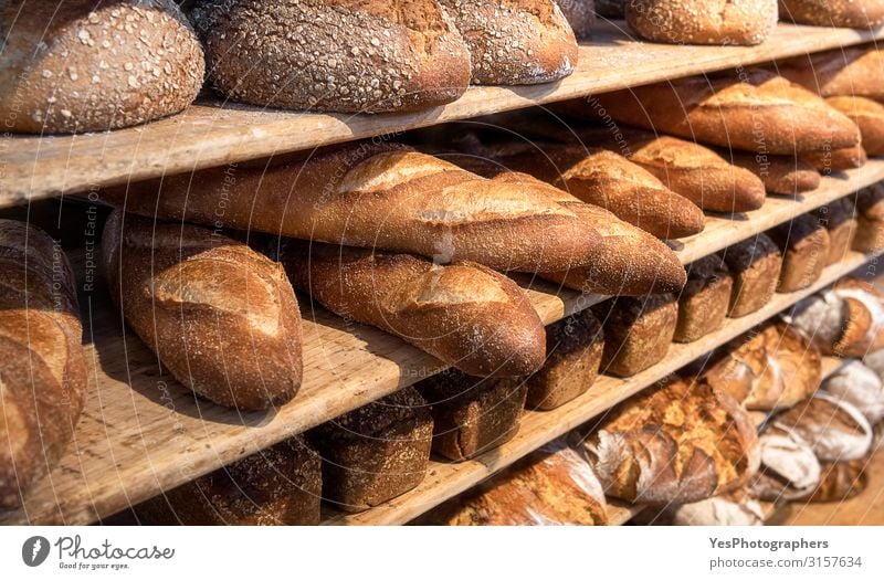 Bread variety on wooden shelves. Bakery goods. Freshly baked Roll Nutrition Breakfast Yellow Tradition assortment background Baked goods Banner basic food