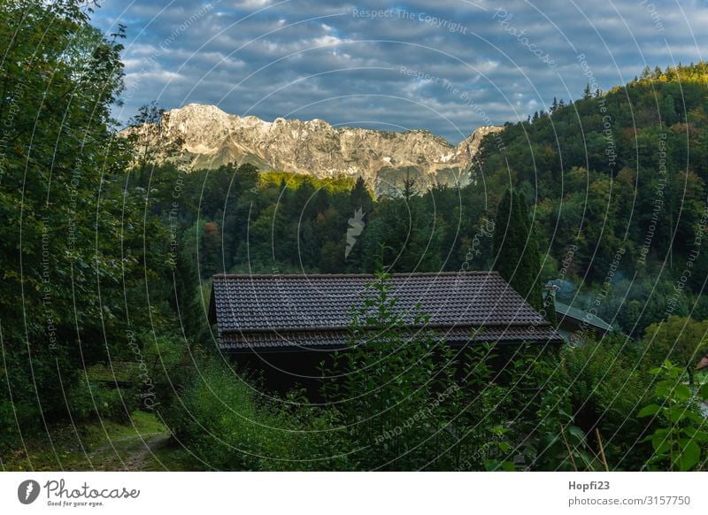 Alps in the Berchtesgaden region Environment Nature Landscape Plant Sky only Sun Autumn Beautiful weather Tree Forest Mountain Peak Hut Going Walking Hiking