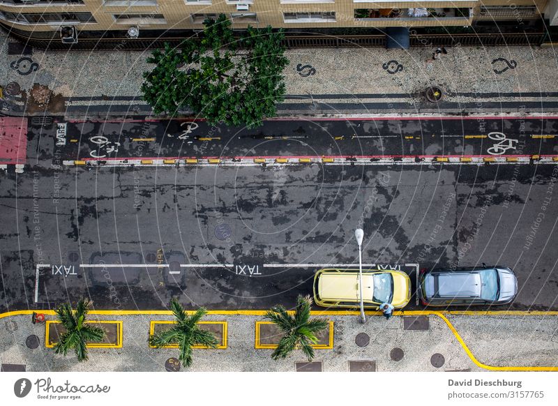 taxi stand Vacation & Travel Tourism Sightseeing City trip Plant Town Populated High-rise Transport Means of transport Road traffic Street Car Taxi Sign