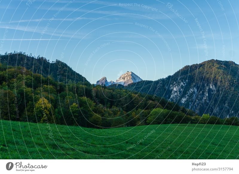 Alps in the Berchtesgaden region Environment Nature Landscape Plant Sky Cloudless sky Sun Autumn Beautiful weather Tree Grass Rock Mountain Peak Snowcapped peak