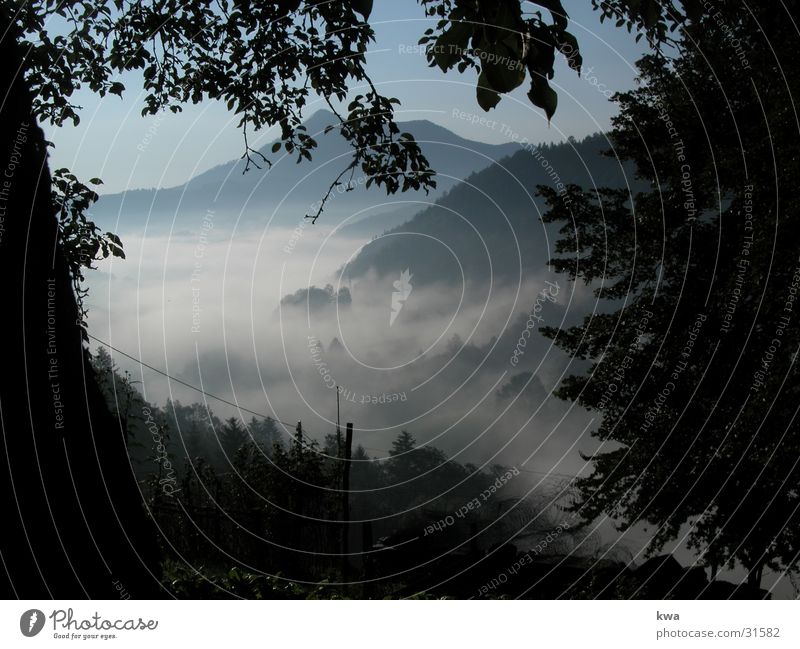 ground fog Ground fog Federal State of Lower Austria Moody Autumn Mountain