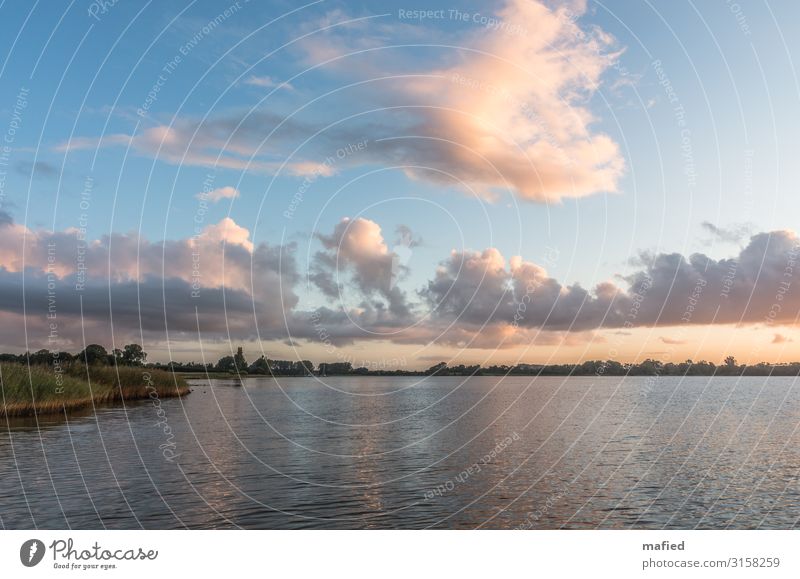 In the morning at the Schlei Nature Landscape Air Water Sky Clouds Sunlight Summer Beautiful weather Coast Fjord Blue Brown Green Pink Relaxation