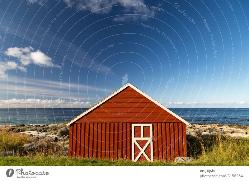 House by the sea Vacation & Travel Ocean Environment Nature Landscape Sky Horizon Summer Beautiful weather Grass Rock Coast Norway Lofotes Scandinavia Hut