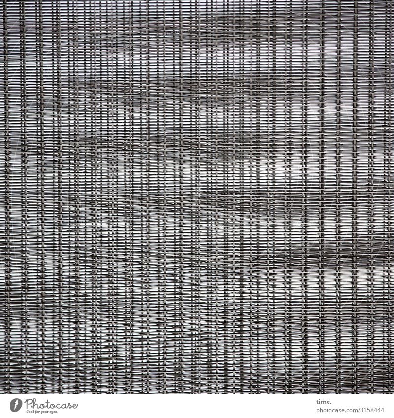 privacy screen Art Work of art Screening Closed Metal Line Stripe Network Esthetic Gray Safety Protection Discover Resolve Accuracy Idea Inspiration Complex