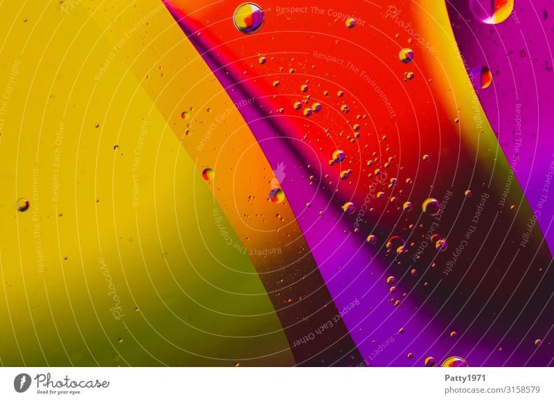 Oil abstract Style Design Exotic Wellness Harmonious Cooking oil Fluid Pattern Structures and shapes Bubble Round Multicoloured Colour photo