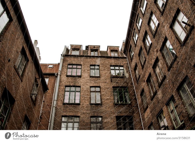 Old Hamburg | UT Hamburg Town Port City Downtown Old town Deserted House (Residential Structure) Brick construction Apartment Building Facade Window