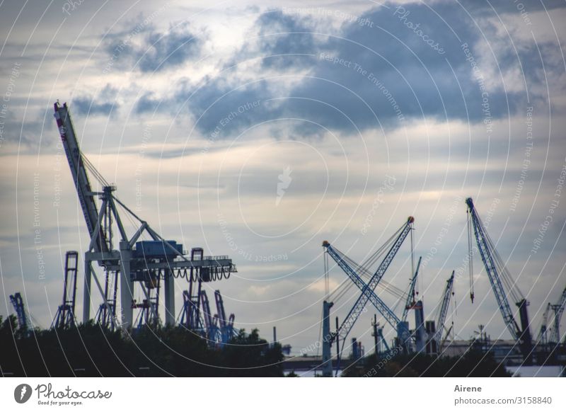 Hamburg Blues | UT Hamburg Sky Clouds Port of Hamburg Port City Tourist Attraction Crane Dockside crane Work and employment Famousness Sharp-edged Tall Cold