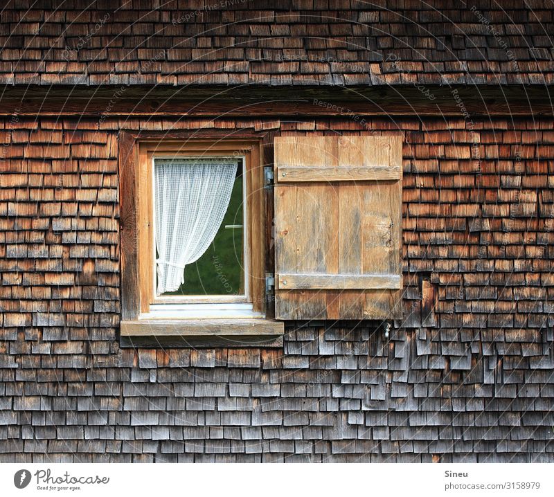 Window to happiness Wooden house Hut Shutter Beautiful weather Wall (barrier) Wall (building) Glass Living or residing Old Authentic Natural Brown