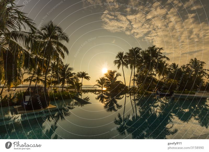 POOL COUNTRY Vacation & Travel Tourism Trip Adventure Far-off places Freedom Summer Sun Sunbathing Island Nature Water Sky Clouds Horizon Sunrise Sunset