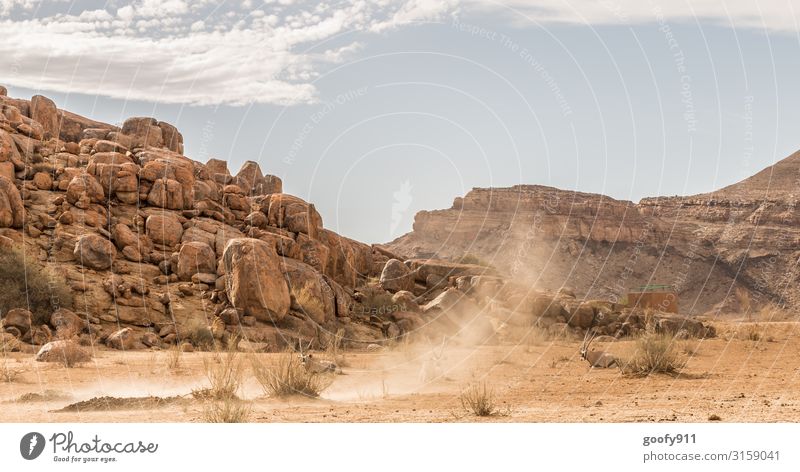 Caution storm Vacation & Travel Tourism Trip Adventure Far-off places Freedom Safari Expedition Environment Nature Landscape Earth Sand Sky Clouds Sunlight Wind