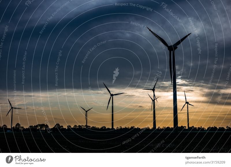 Wind farm Neudrerusum II Technology Science & Research Advancement Future High-tech Energy industry Renewable energy Wind energy plant Clouds Sunrise Sunset