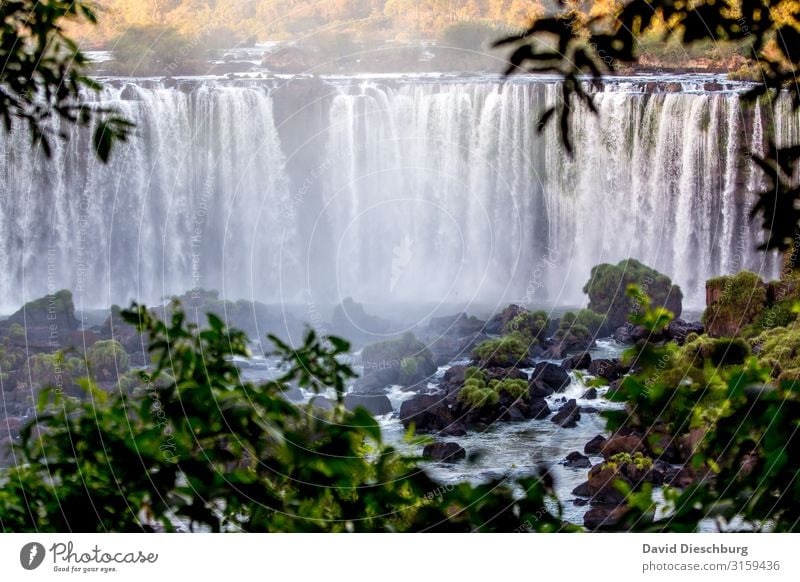 iguassu Vacation & Travel Trip Adventure Sightseeing Expedition Nature Landscape Plant Animal Water Beautiful weather Forest Virgin forest Waves River Waterfall