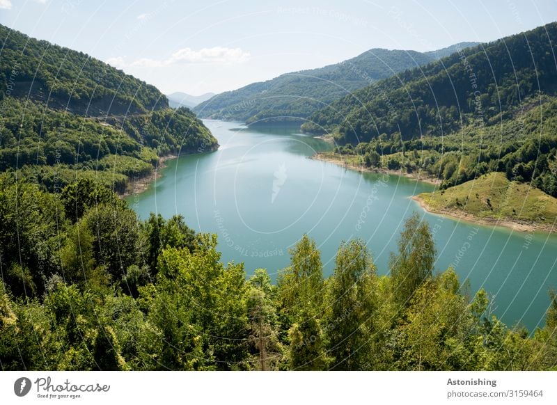 Siriu Lake Environment Nature Landscape Sky Horizon Summer Weather Beautiful weather Plant Tree Forest Hill Mountain Southern Carpathians Canyon Lakeside