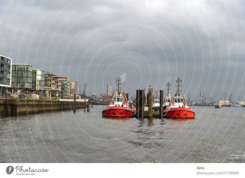 Tug in port Hamburg Port of Hamburg Navigation Inland navigation Watercraft Beginning Competition Arrangement Elbe Harbour Colour photo Exterior shot