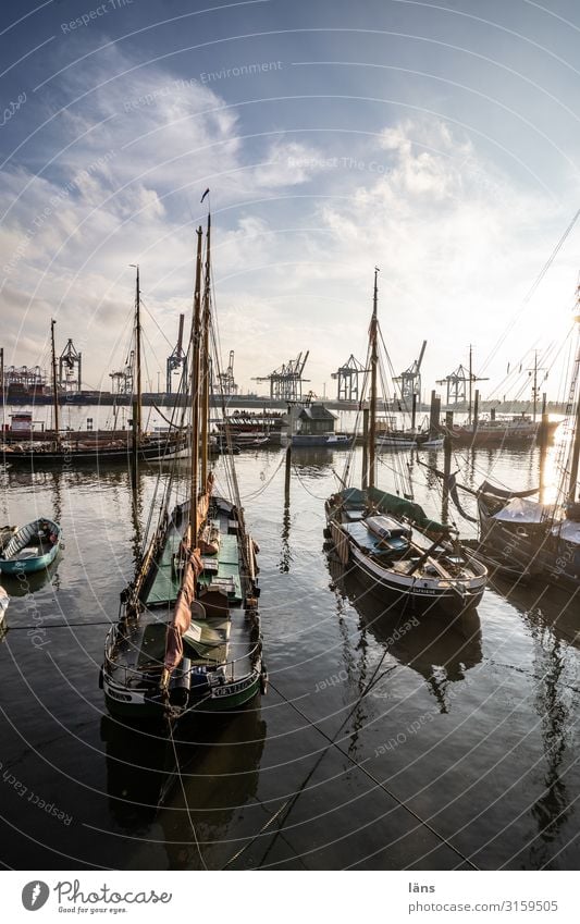 Readiness -1500 Weather Beautiful weather River Elbe Navigation Sailboat Maritime Beginning Stagnating Town Lanes & trails Harbour Hamburg sailboats