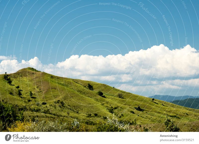 green hill Environment Nature Landscape Plant Air Sky Horizon Summer Weather Beautiful weather Grass Bushes Meadow Hill Mountain Carpathians Peak Romania Tall