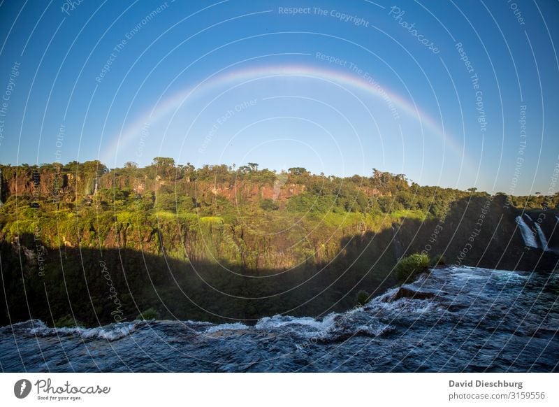 Rainbow at Iguassu Vacation & Travel Tourism Sightseeing Nature Landscape Water Cloudless sky Spring Summer Beautiful weather Plant Tree Forest Virgin forest