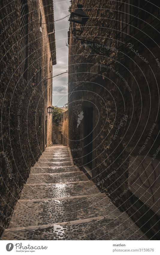 Hollow lane Town Old town Deserted House (Residential Structure) Building Architecture Wall (barrier) Wall (building) Facade Window Dark Blue Brown Gray Green