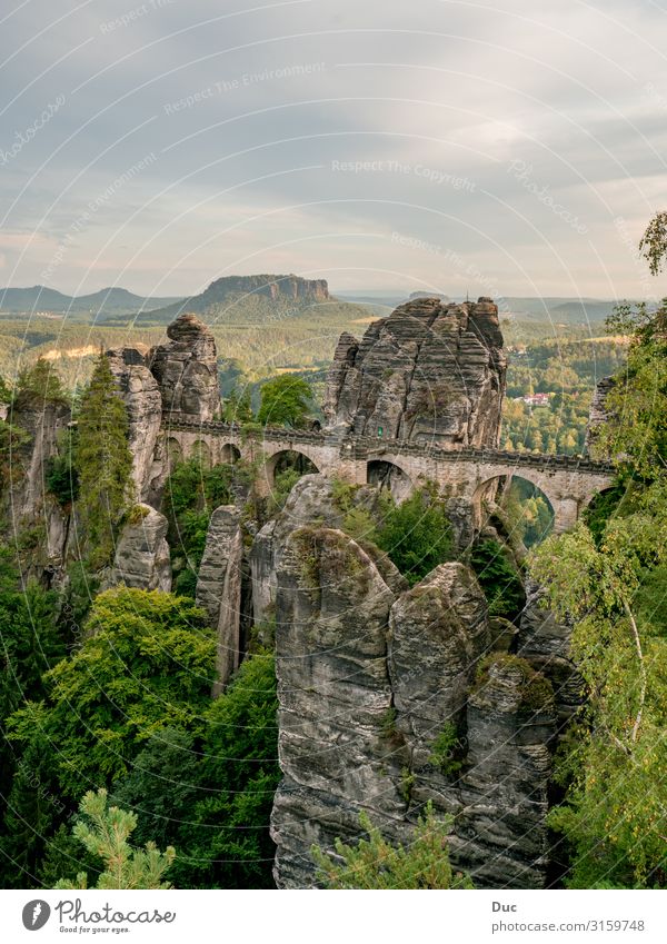 handicraft bridge Leisure and hobbies Environment Nature Landscape Clouds Summer Climate Weather Tree Forest Rock Mountain rathen Germany Europe Bridge Building