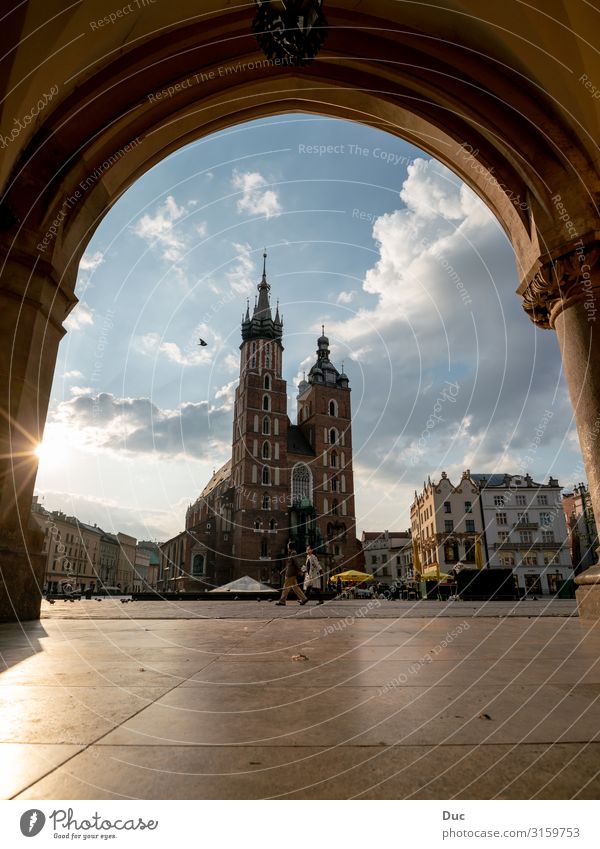 Church of St. Mary in Krakow Lifestyle Shopping Elegant Joy Happy Tourism Trip Sightseeing City trip Couple Church of Our Lady Rynek Glowny Pollen Europe Town