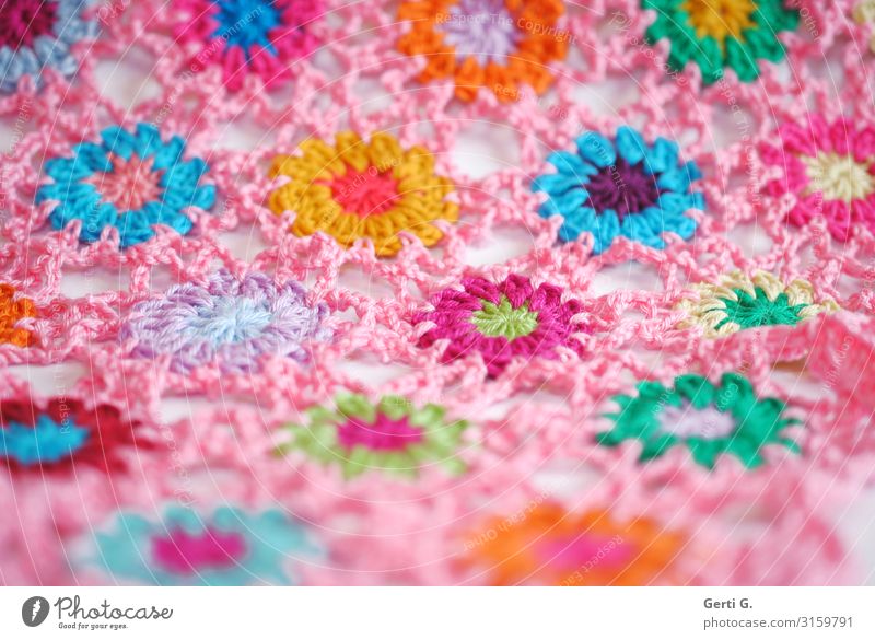 colourful crochet flowers connected with air chains in pink Lifestyle Design Leisure and hobbies Handcrafts Crochet Living or residing Flat (apartment)