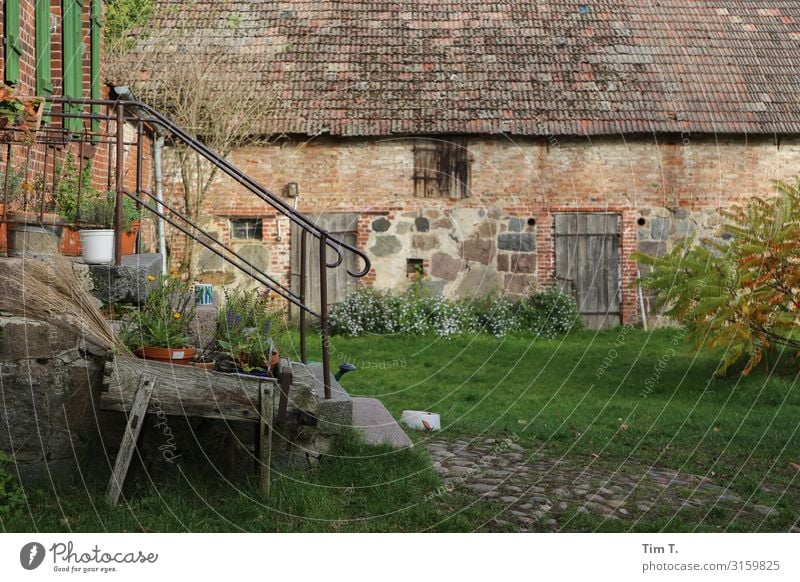 farm Village Deserted House (Residential Structure) Manmade structures Building Farm Wall (barrier) Wall (building) Garden Door Sustainability Independence Past