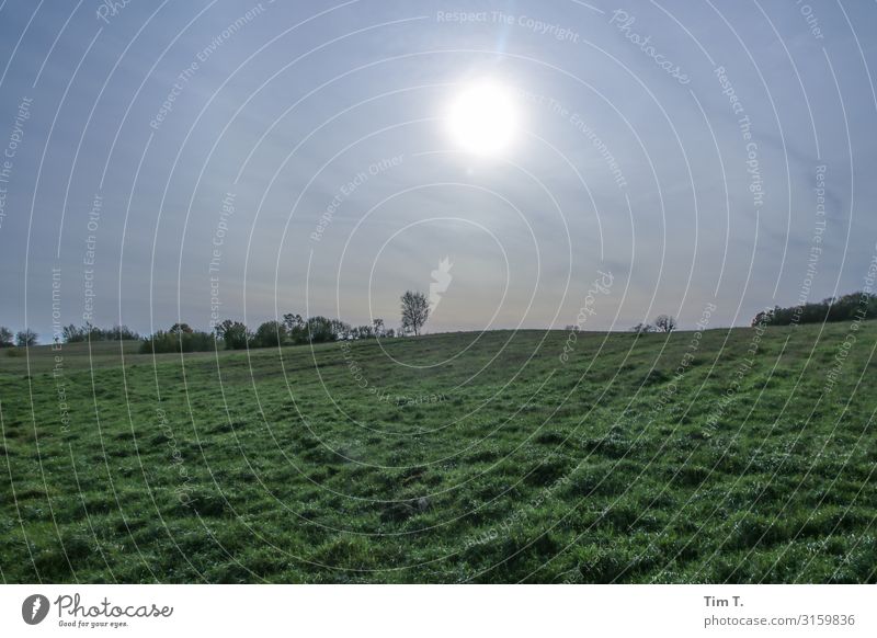 meadow Environment Nature Landscape Plant Sky Horizon Sun Sunlight Autumn Grass Poland Infinity Blue Green Colour photo Exterior shot Deserted Day Light Sunbeam