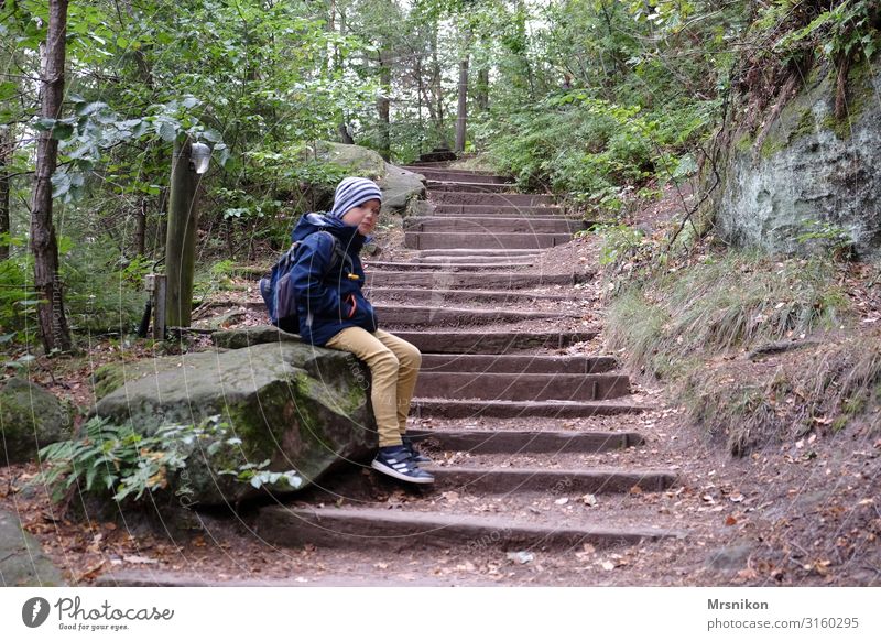 Hiking tour Saxon Switzerland with children Saxony Trip Mountain Excursion destination Mountaineering Autumn Autumnal Above Forest Deserted Colour photo Tourism