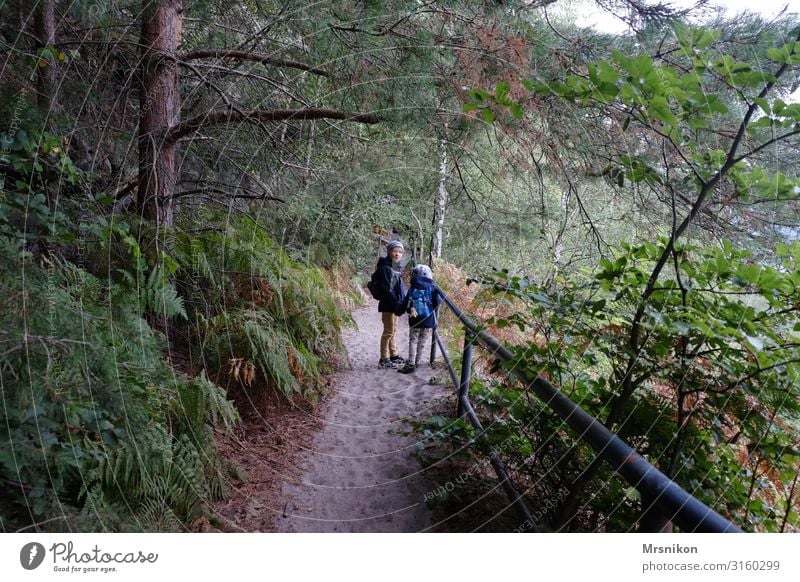 Hiking tour Saxon Switzerland with children Saxony Trip Mountain Excursion destination Mountaineering Autumn Autumnal Above Forest Deserted Colour photo Tourism