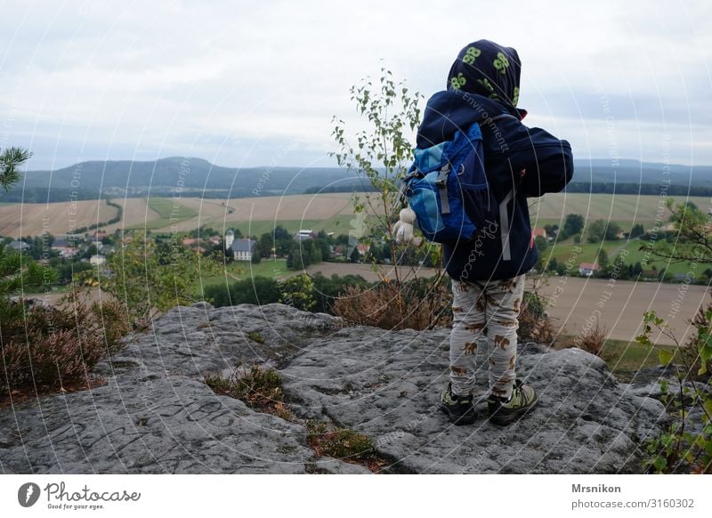 Hiking tour Saxon Switzerland with toddler Saxony Trip Mountain Excursion destination Mountaineering Autumn Autumnal Above Forest Deserted Colour photo Tourism