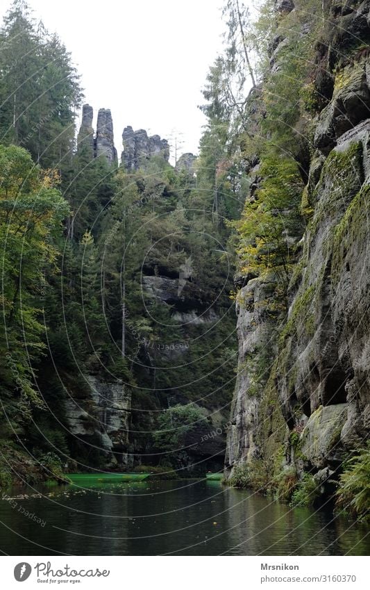 Edmunds Gorge Vacation & Travel Tourism Trip Adventure Mountain Hiking Deserted Relaxation Bohemian Switzerland Travel photography Edmundsklamm Colour photo