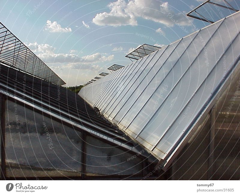 draw clouds Clouds Greenhouse Roof Evening sun Architecture Glass Sky